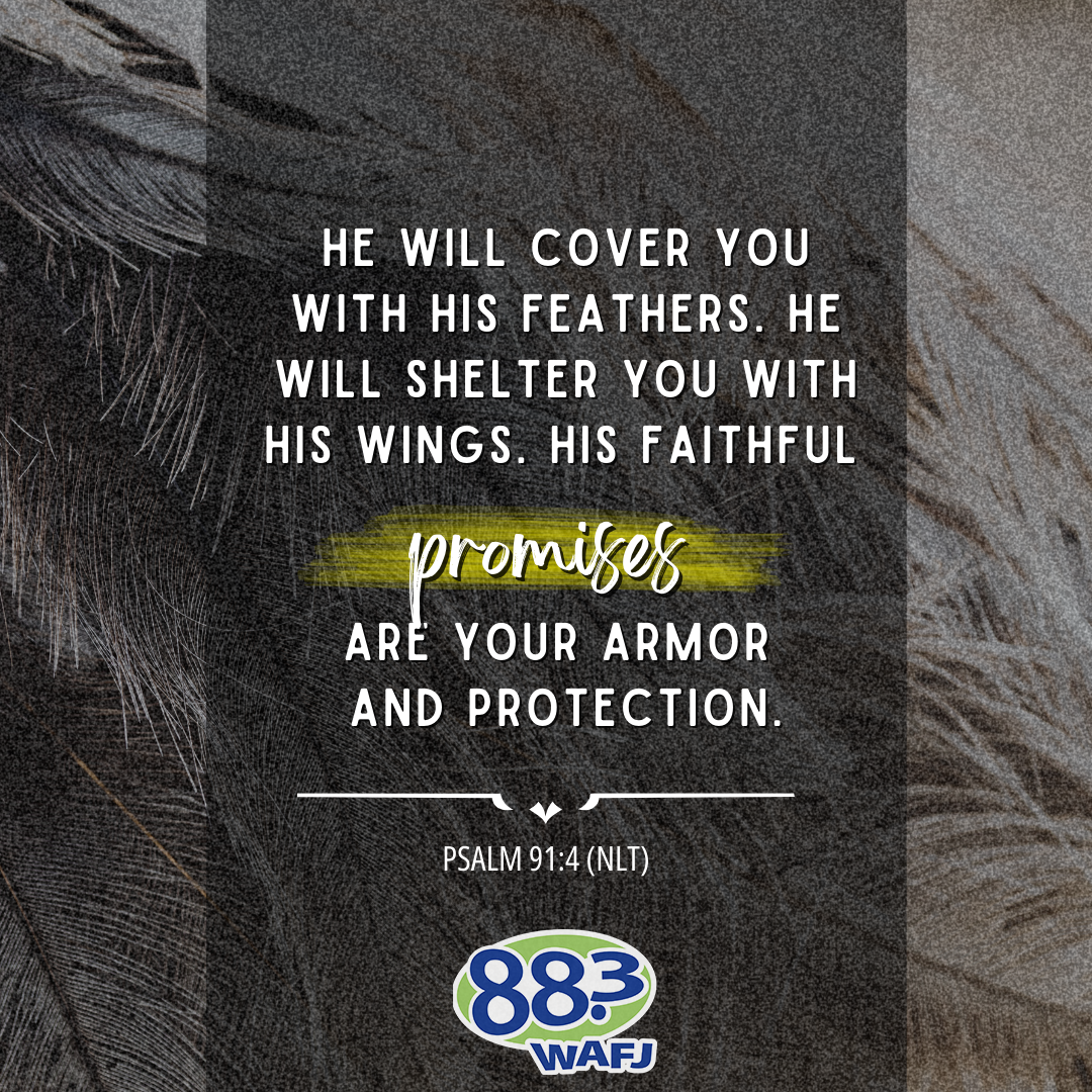 Psalm 91:4 - Verse of the Day