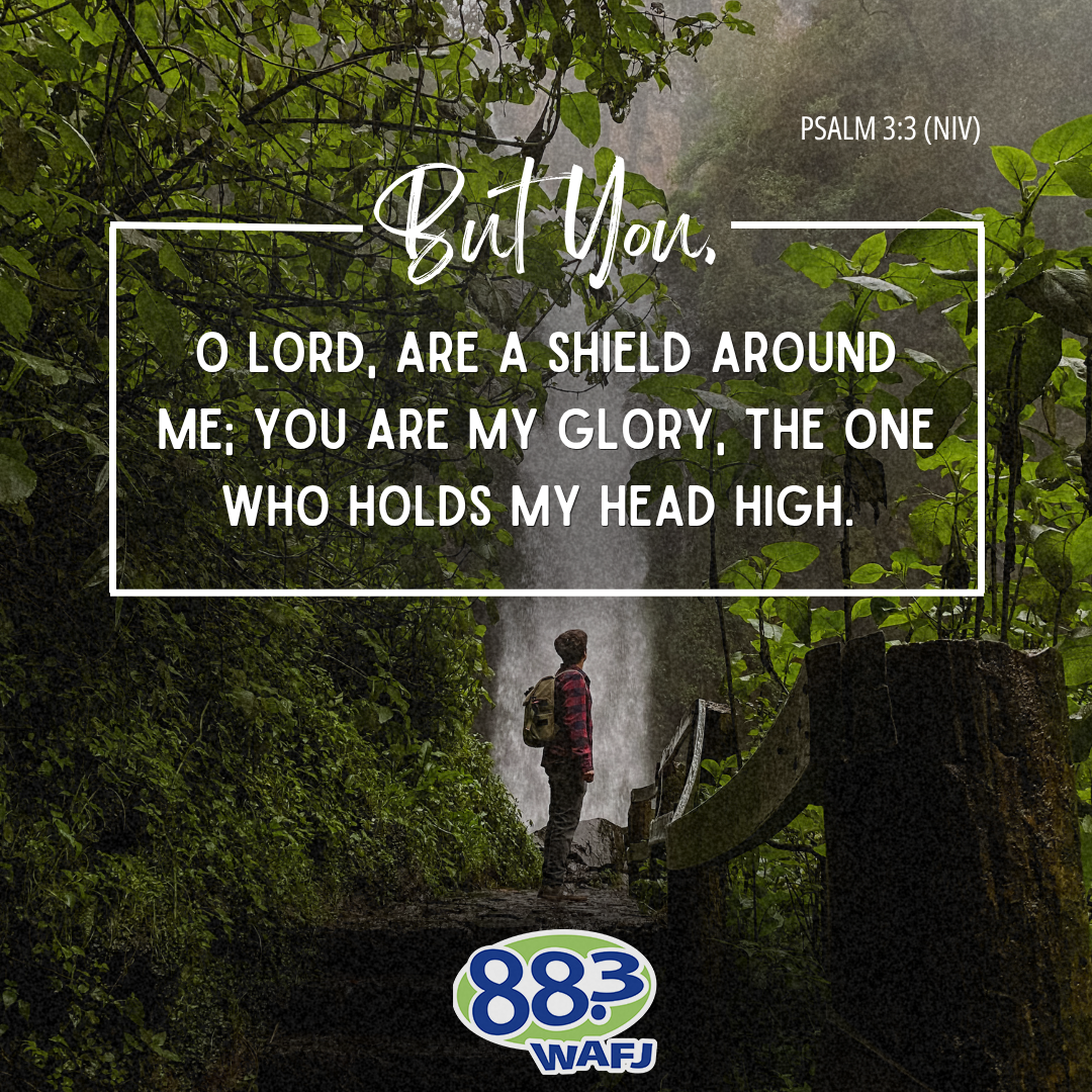 Psalm 3:3 - Verse of the Day