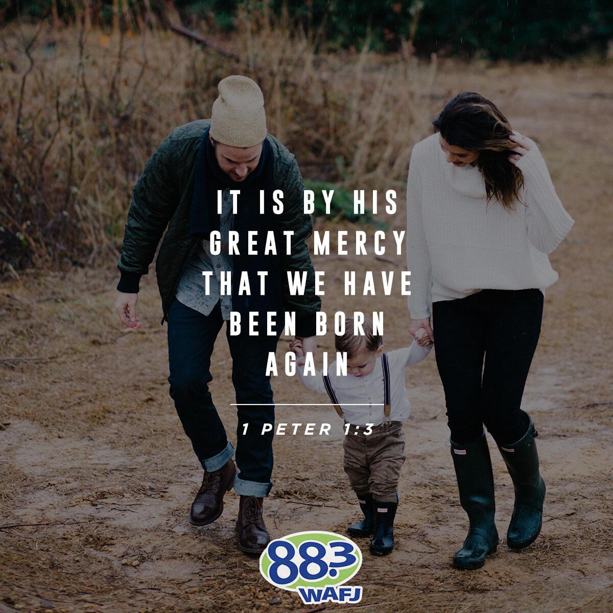 1 Peter 1:3 - Verse of the Day