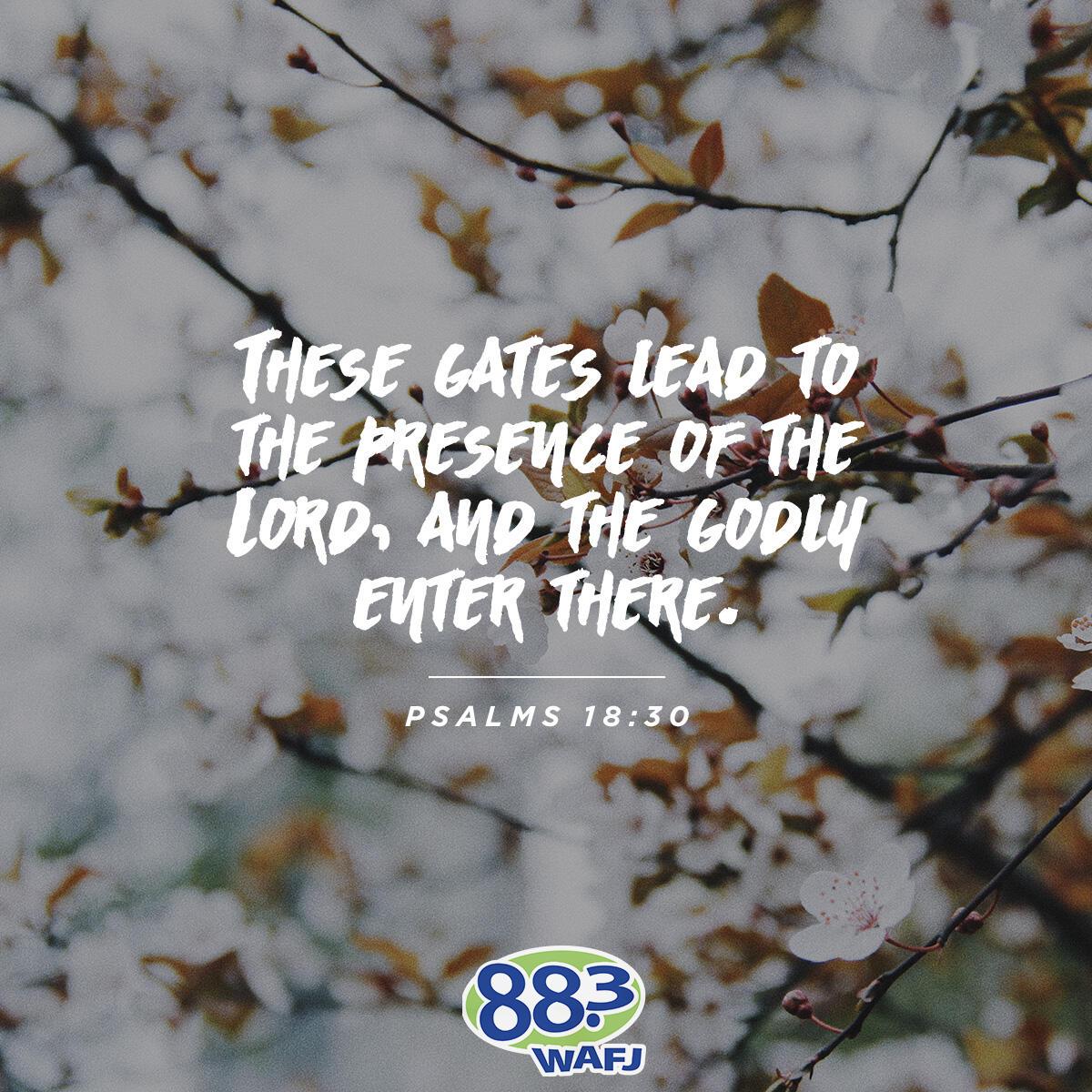 Psalm 118:20 - Verse of the Day