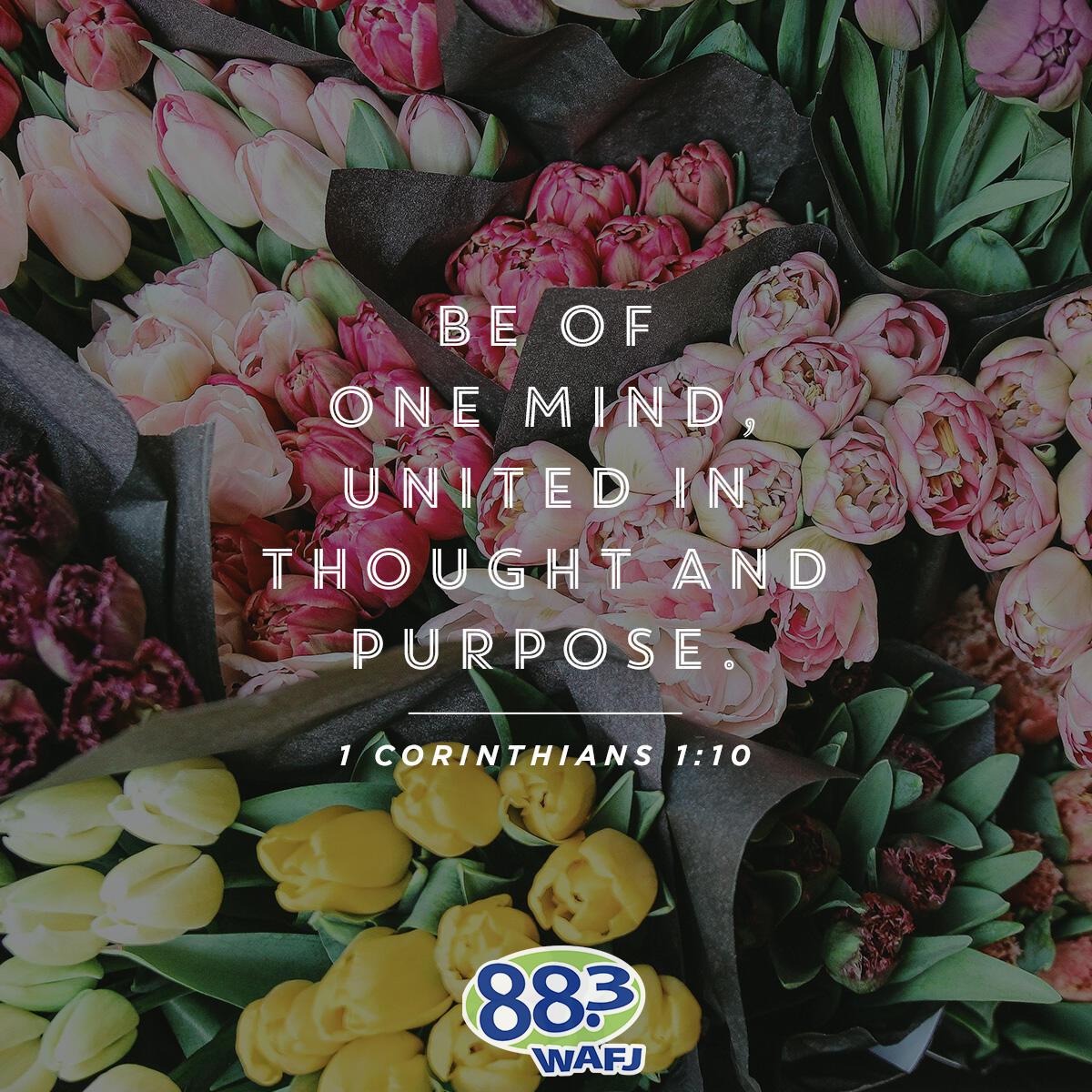 1 Corinthians 1:10 - Verse of the Day