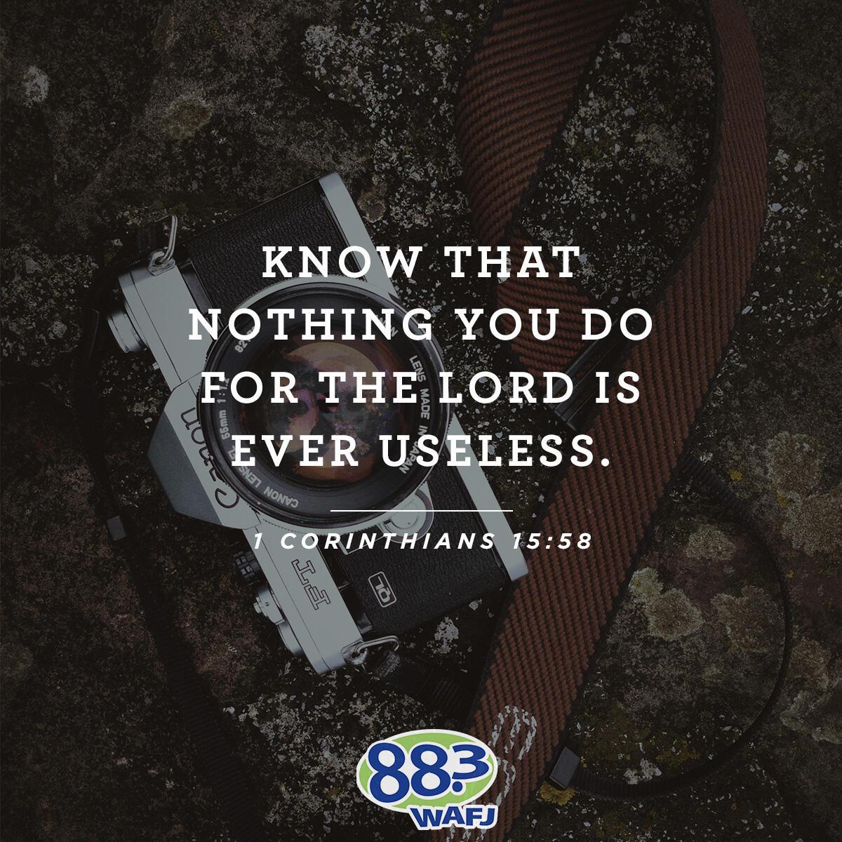 1 Corinthians 15:58 - Verse of the Day