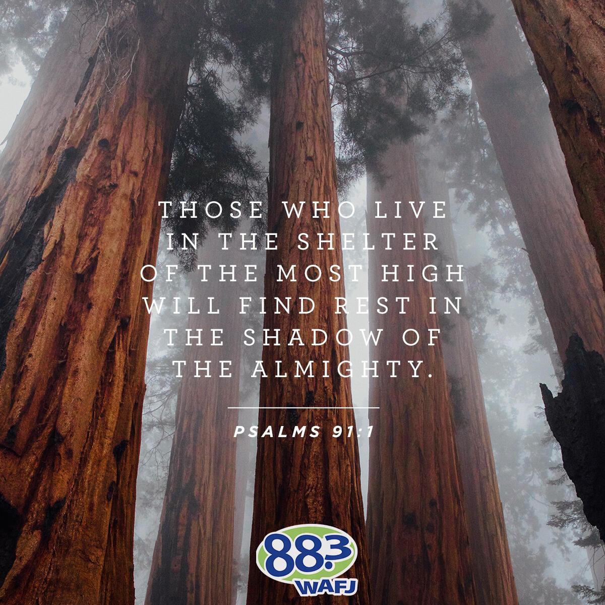 1 Peter 1:3 - Verse of the Day