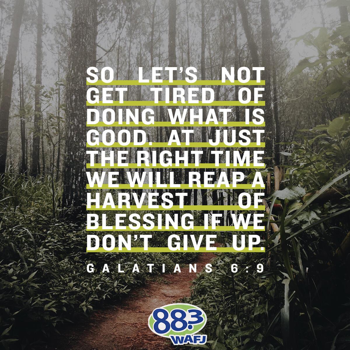 Galatians 6:9 - Verse of the Day