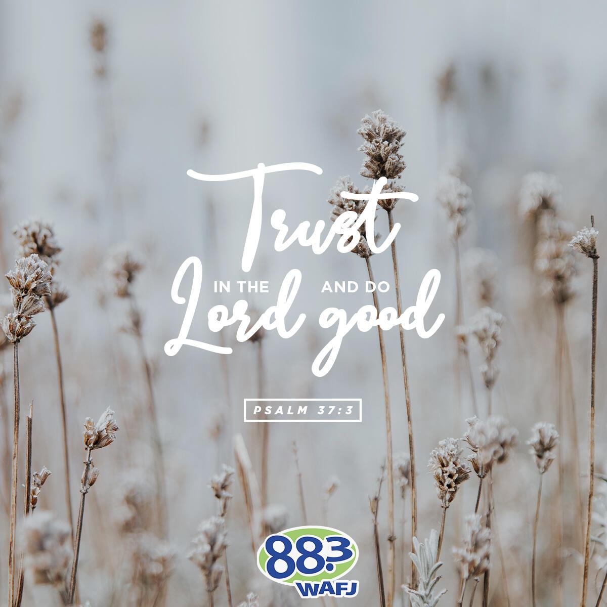 Psalm 37:3 - Verse of the Day