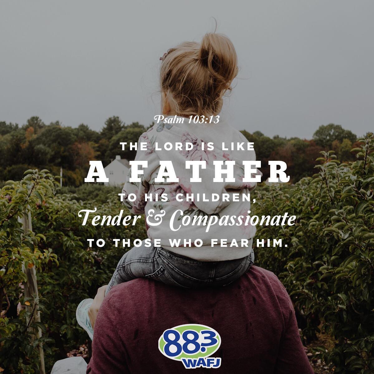 Psalm 103:13 - Verse of the Day