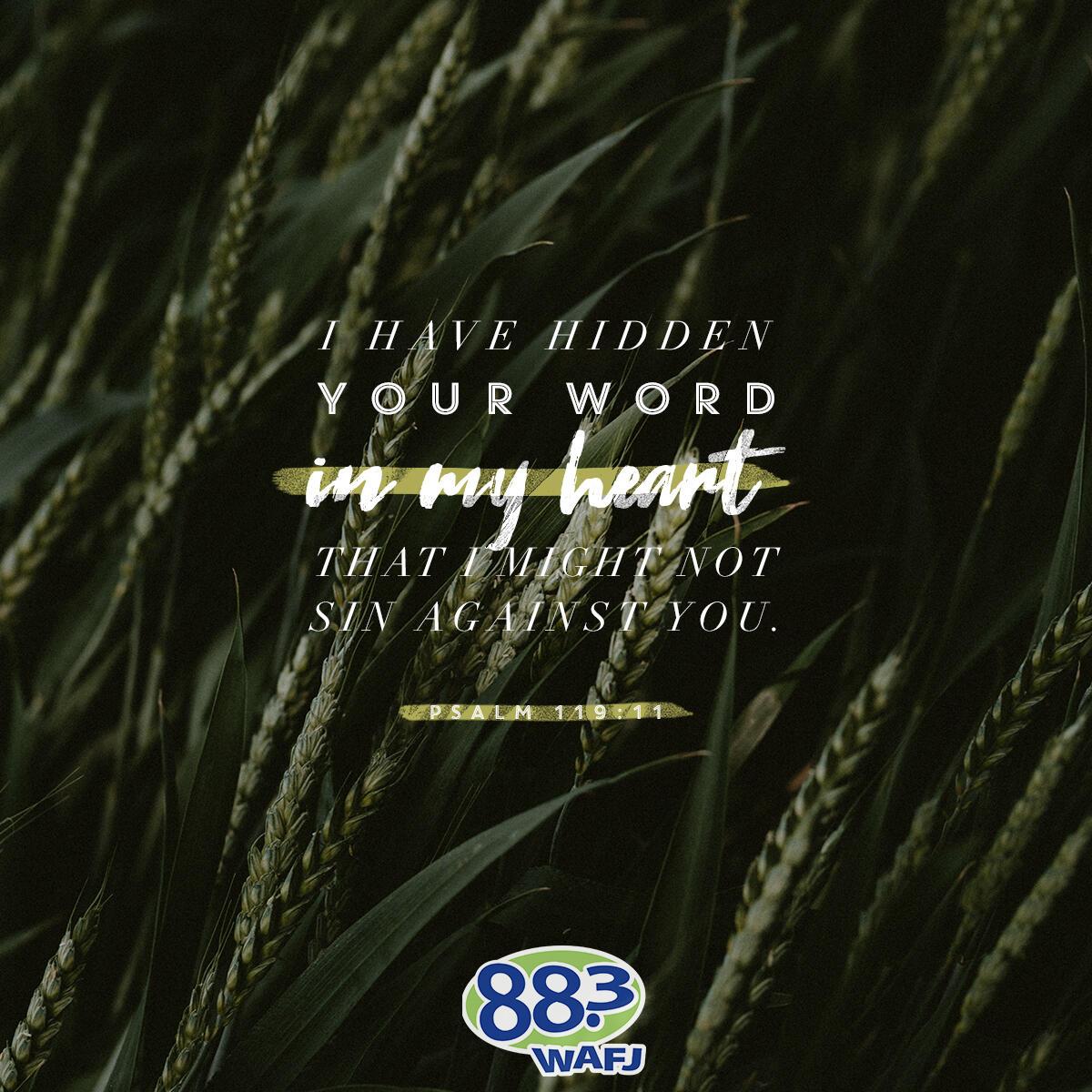 Psalm 119:11 - Verse of the Day