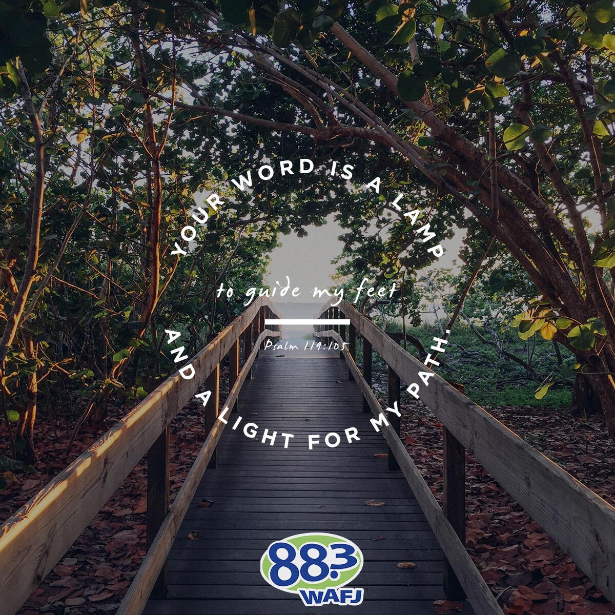 Psalm 119:105 - Verse of the Day