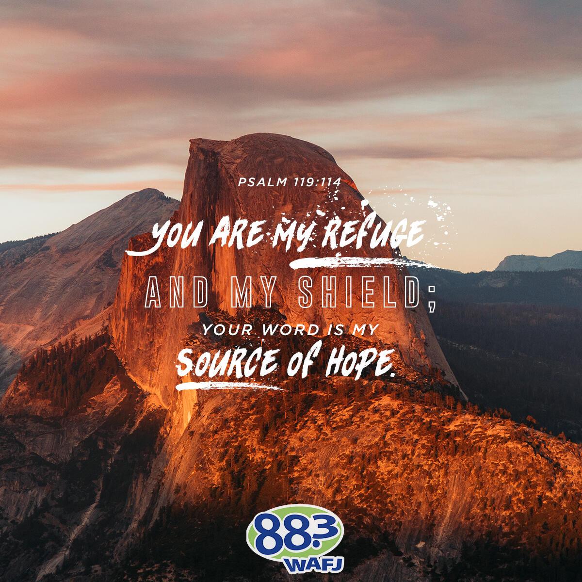 Psalm 119: 114 - Verse of the Day