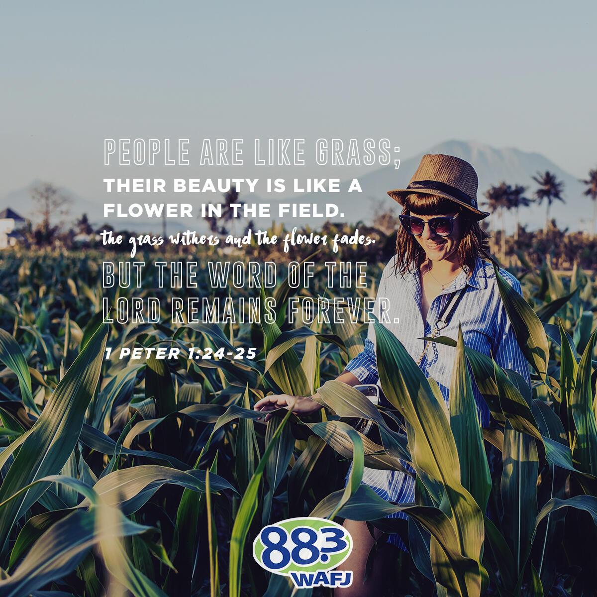 1 Peter 1:24-25 - Verse of the Day