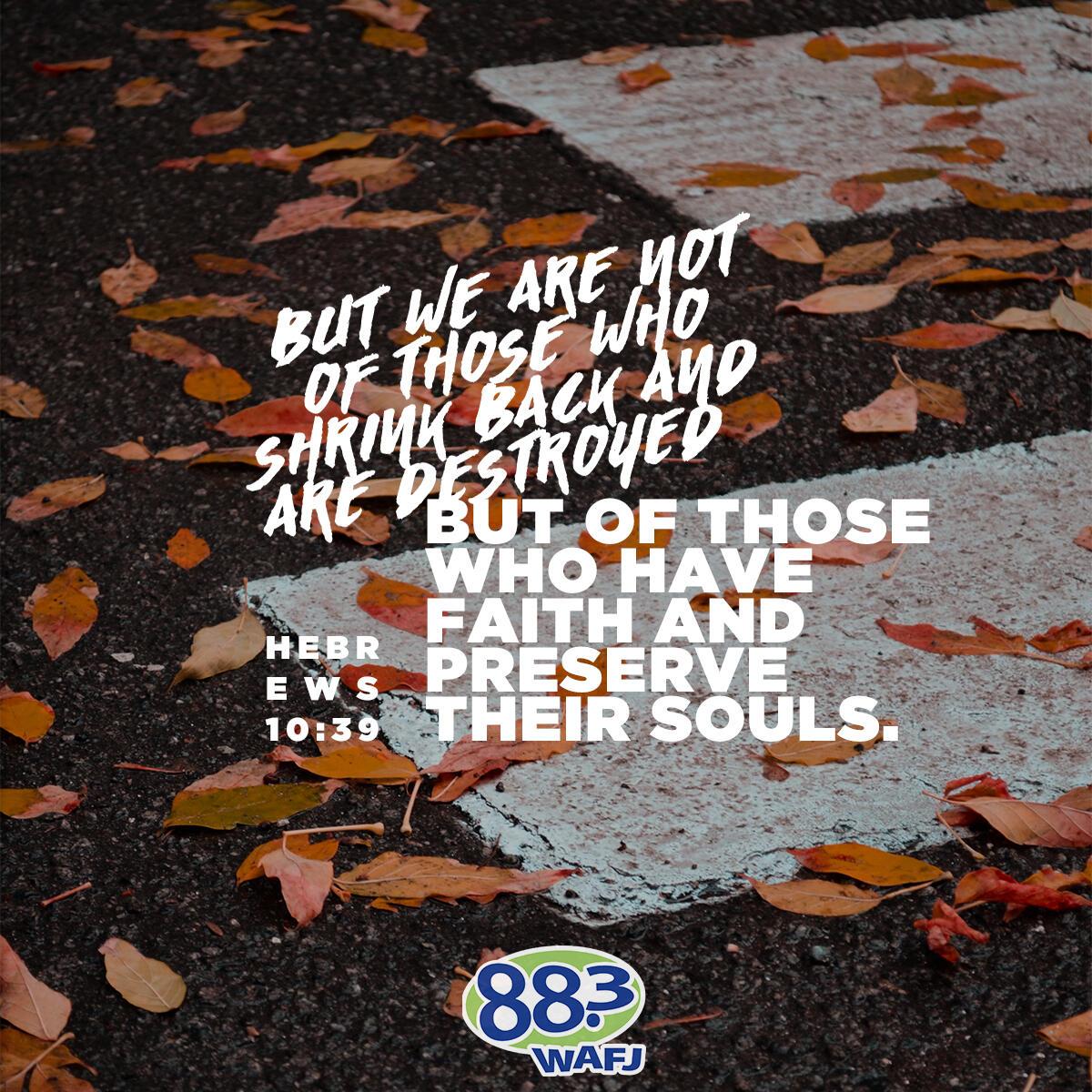 Hebrews 10:39 - Verse of the Day