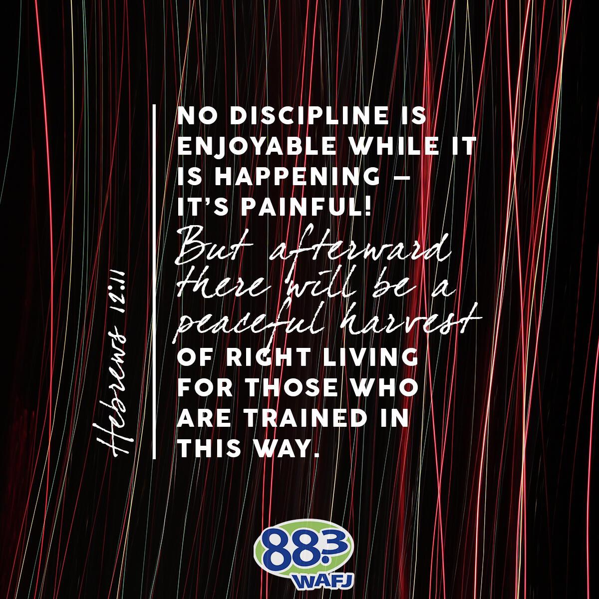 Hebrews 12:11 - Verse of the Day