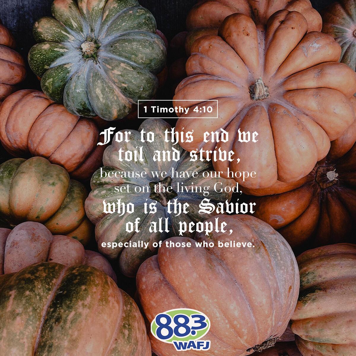 1 Timothy 4:10 - Verse of the Day