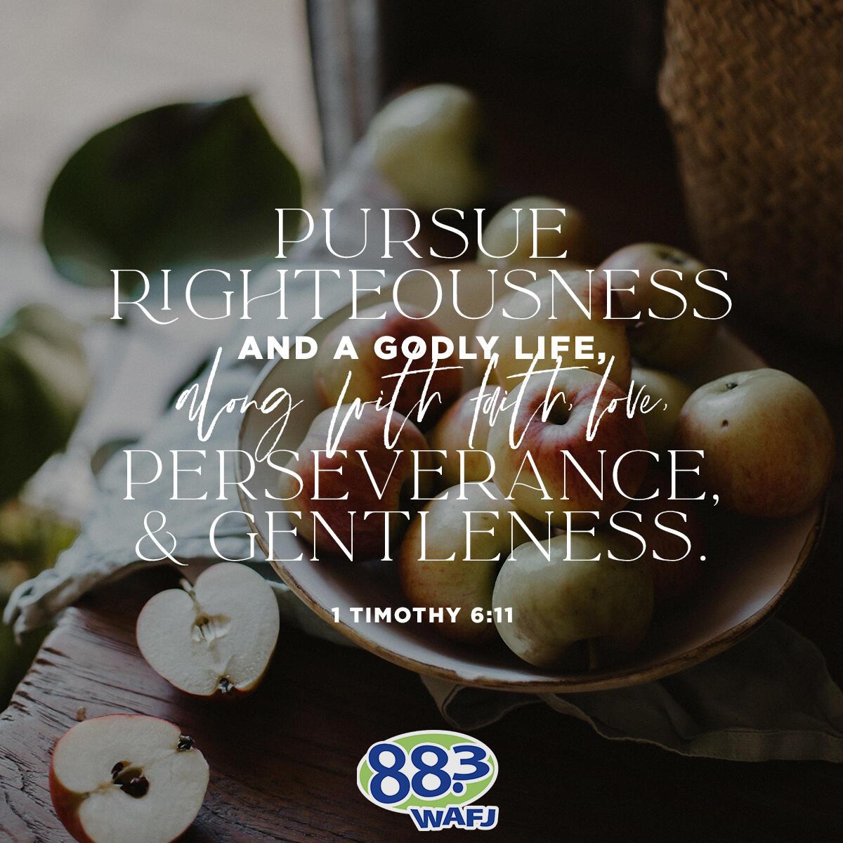 1 Timothy 6:11 - Verse of the Day