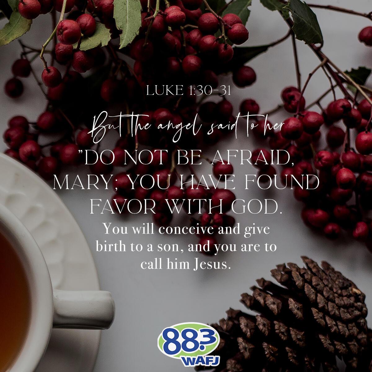 Luke 1:30-31 - Verse of the Day