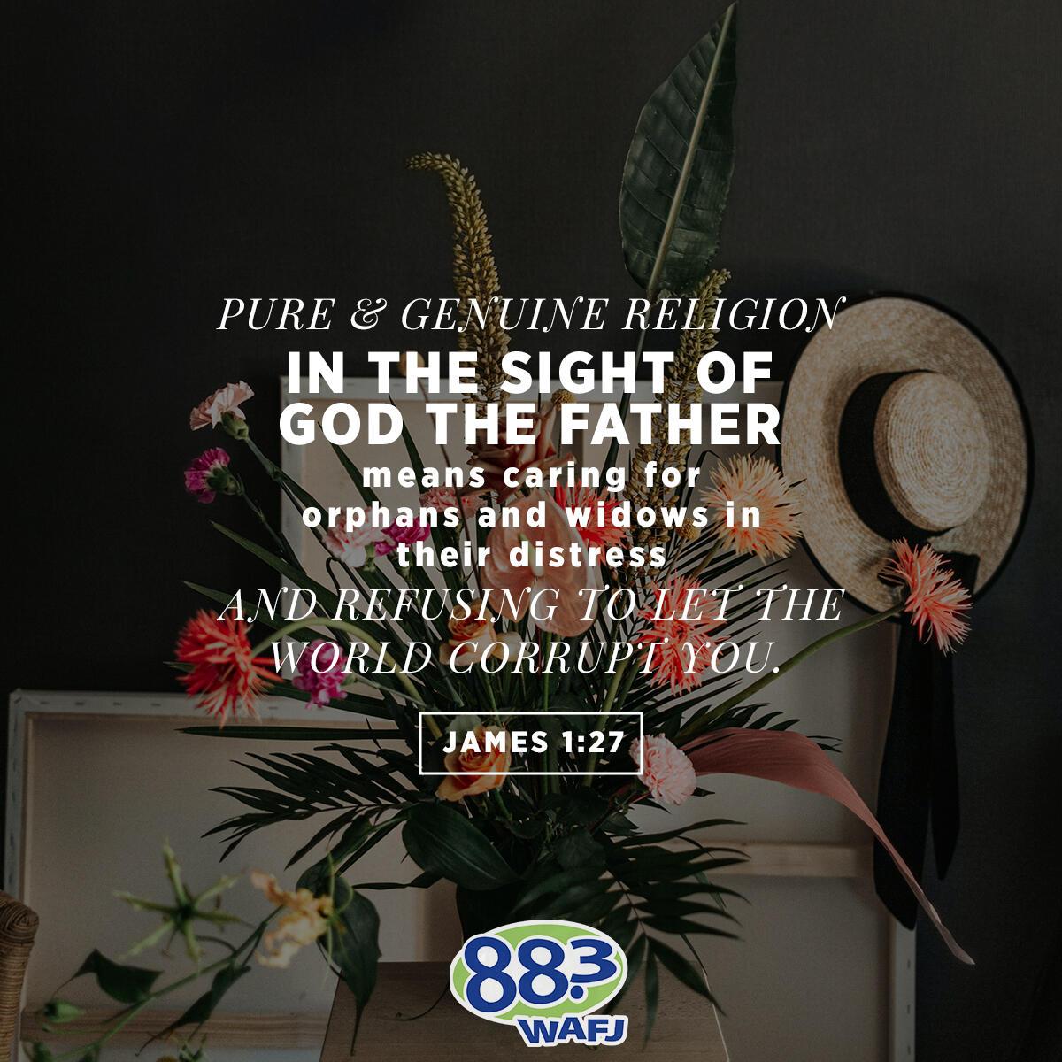 James 1:27 - Verse of the Day
