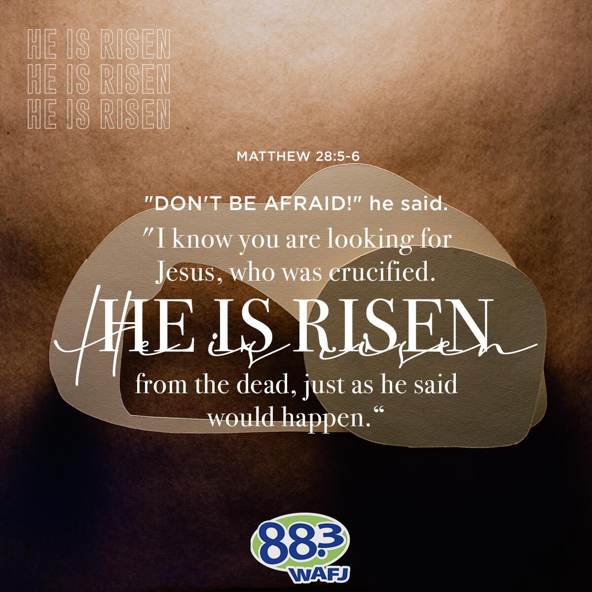 Matthew 28:5-6 - Verse of the Day