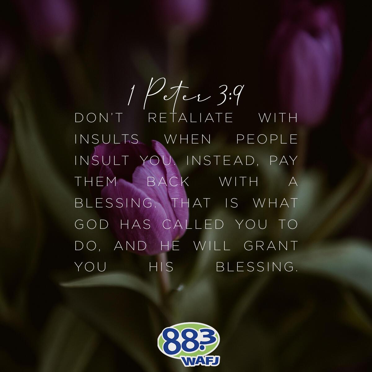 1 Peter 3:9 - Verse of the Day