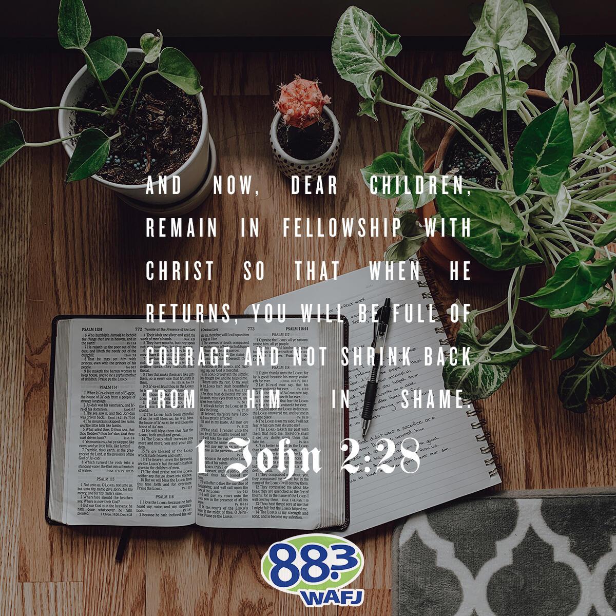 1 John 2:28 - Verse of the Day