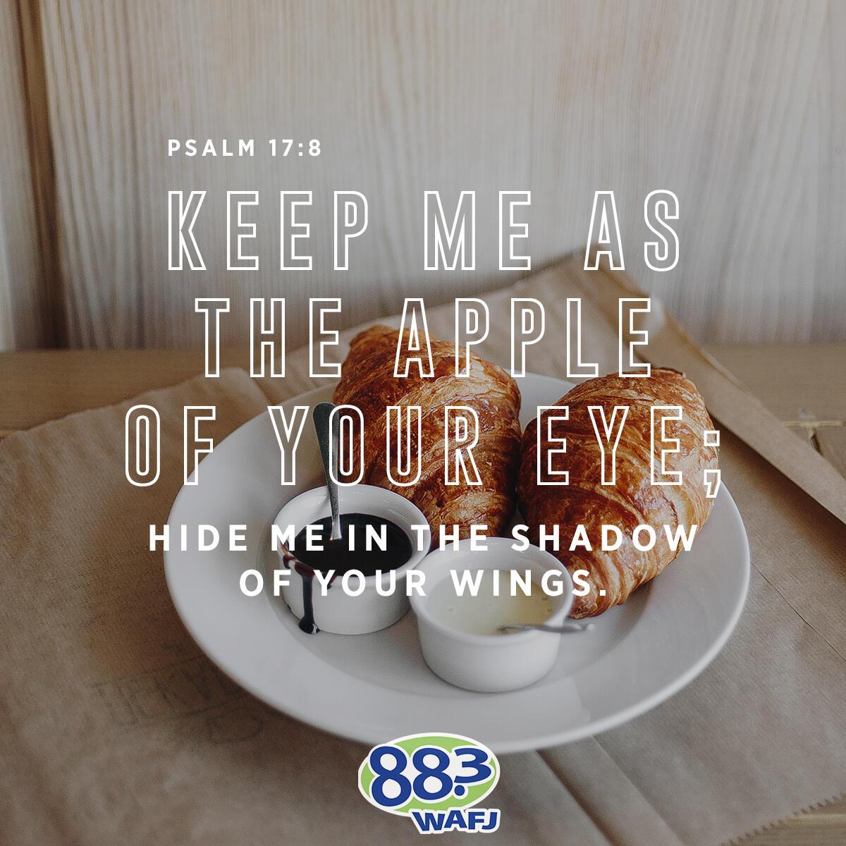 Psalm 17:8 - Verse of the Day