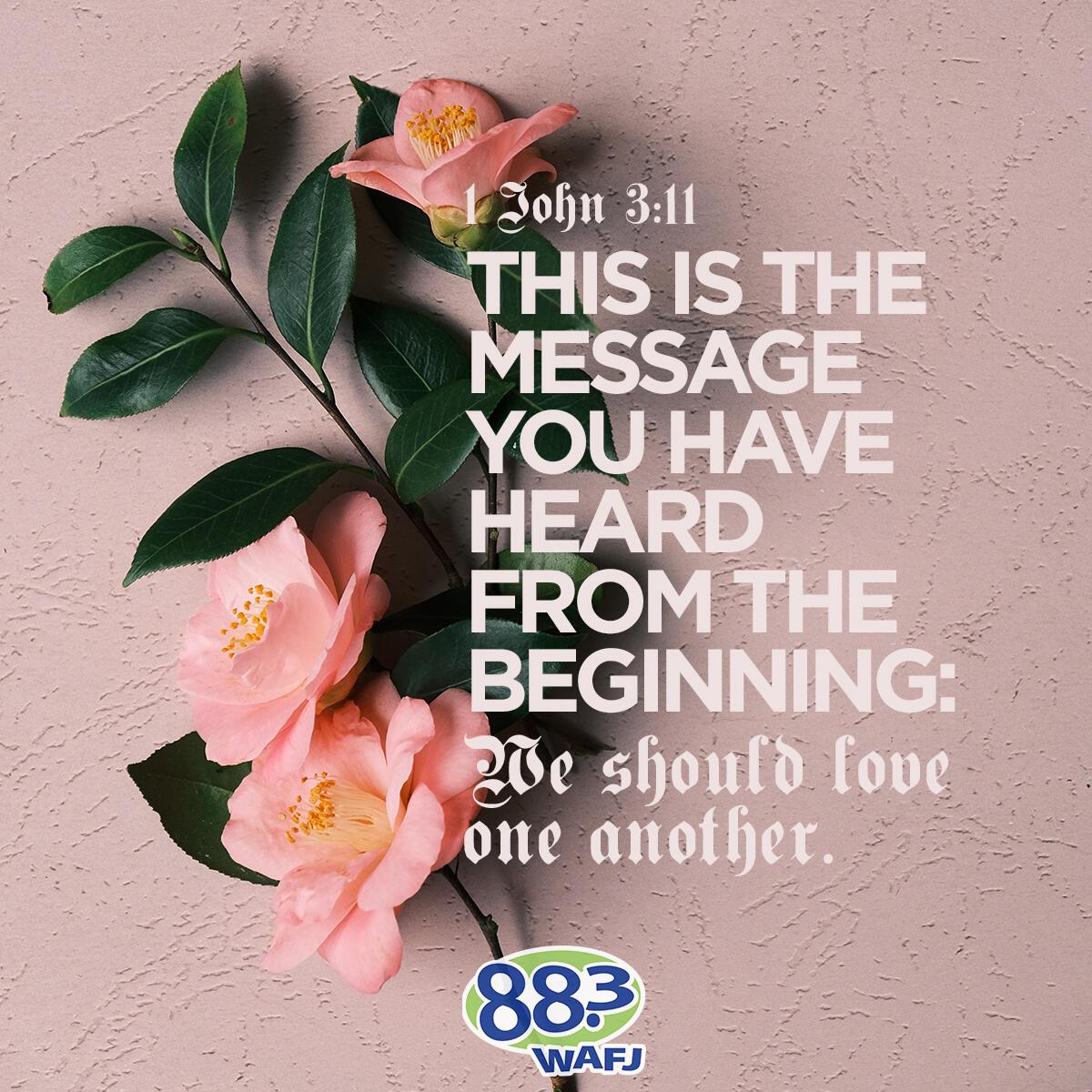 1 John 3:11 - Verse of the Day