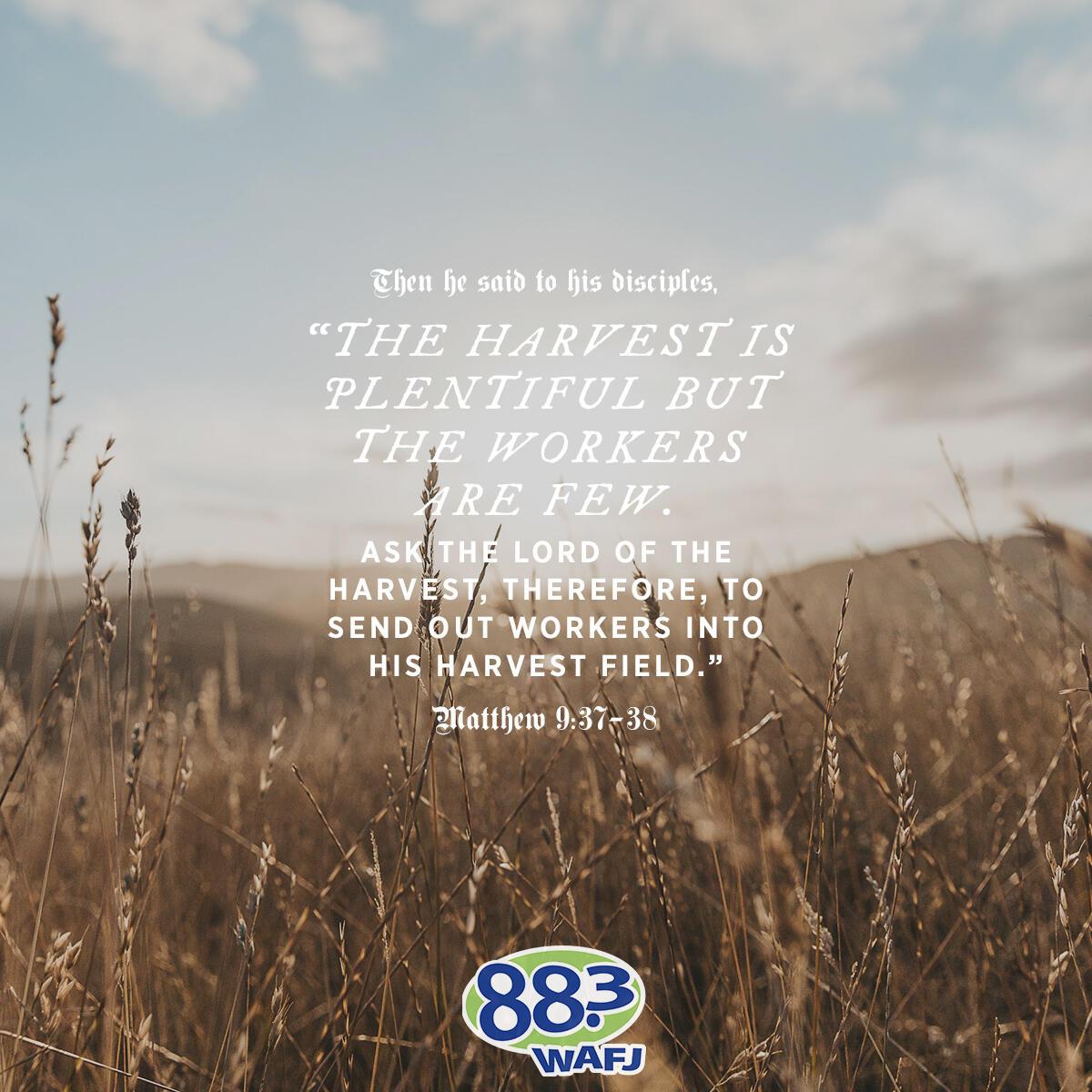 Matthew 9:37-38 - Verse of the Day