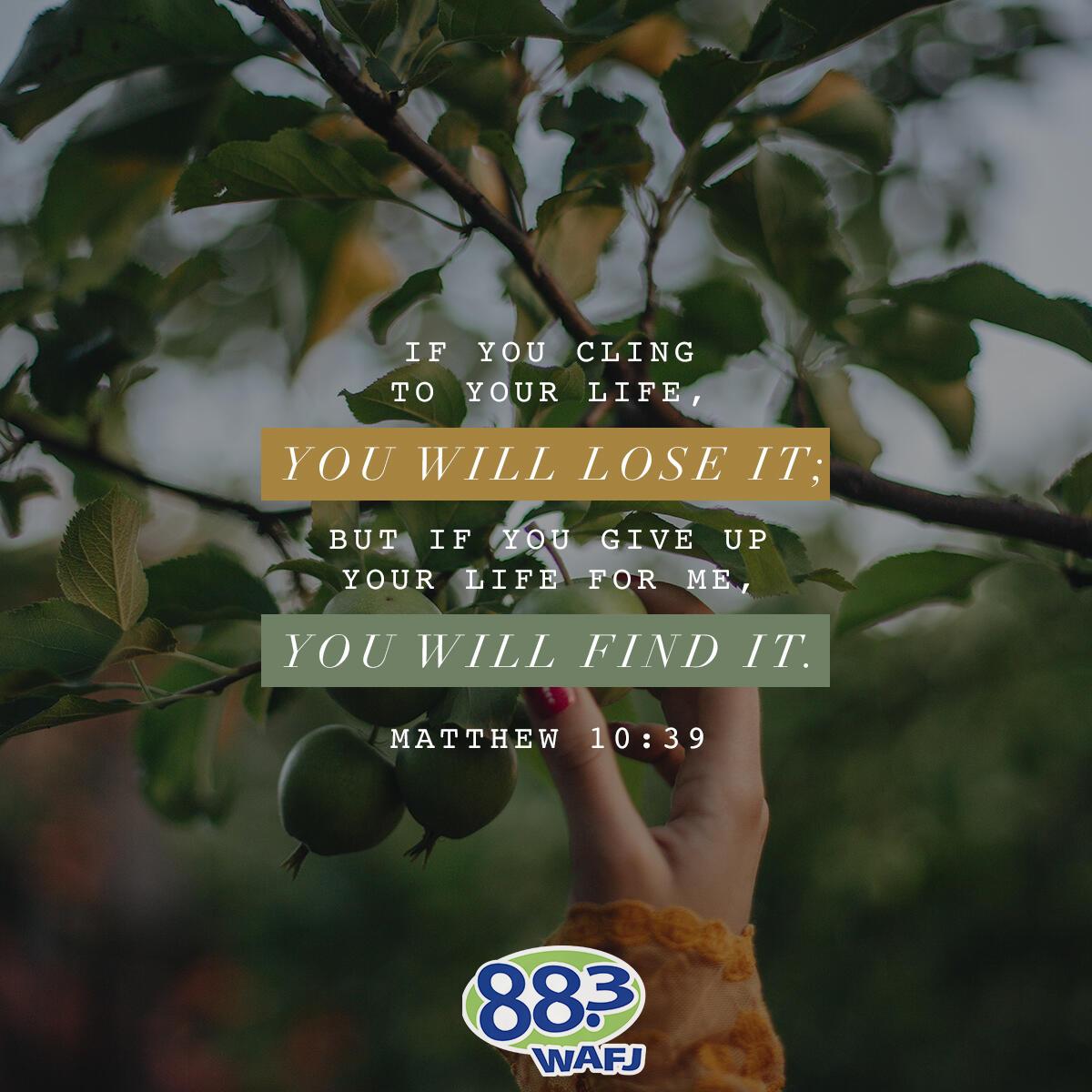 Matthew 10:39 - Verse of the Day