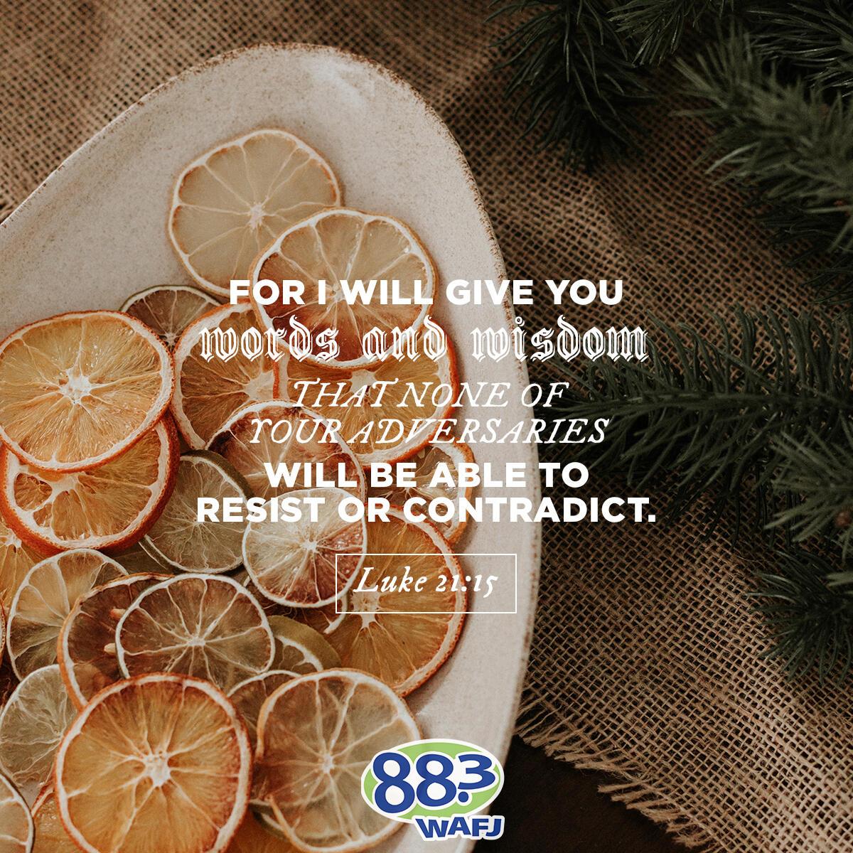 Luke 21:15 - Verse of the Day