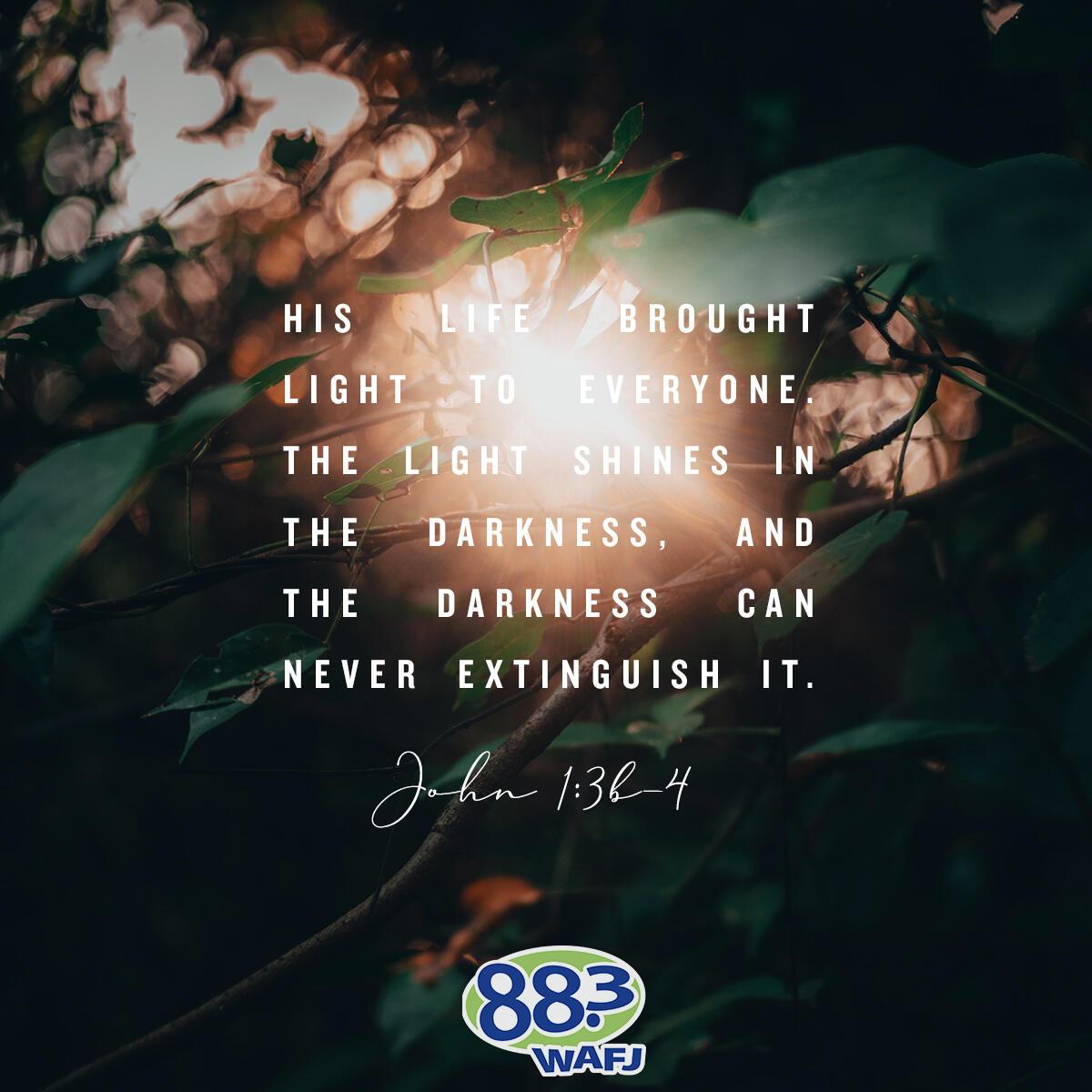 John 1:3b-4 - Verse of the Day