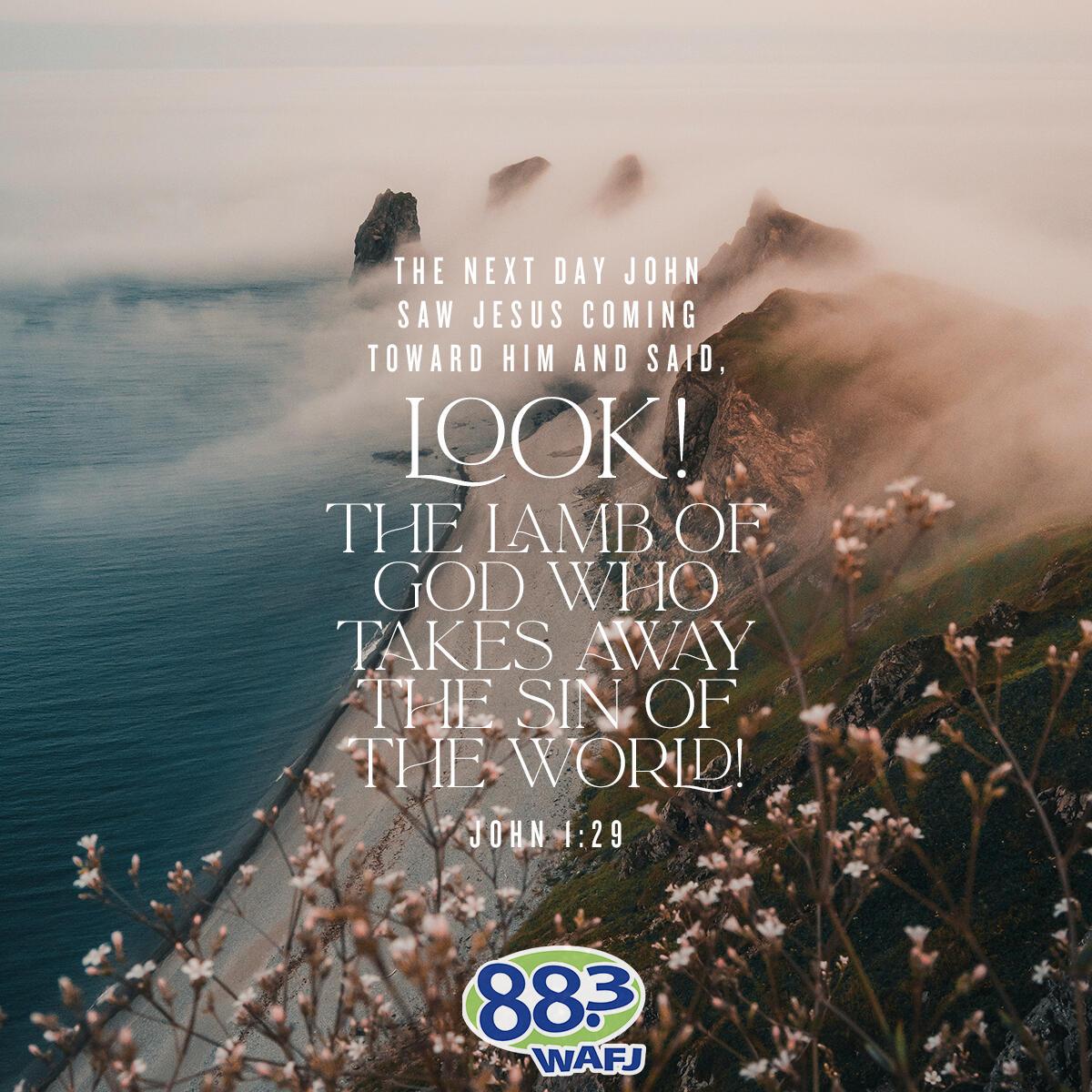 John 1:29 - Verse of the Day