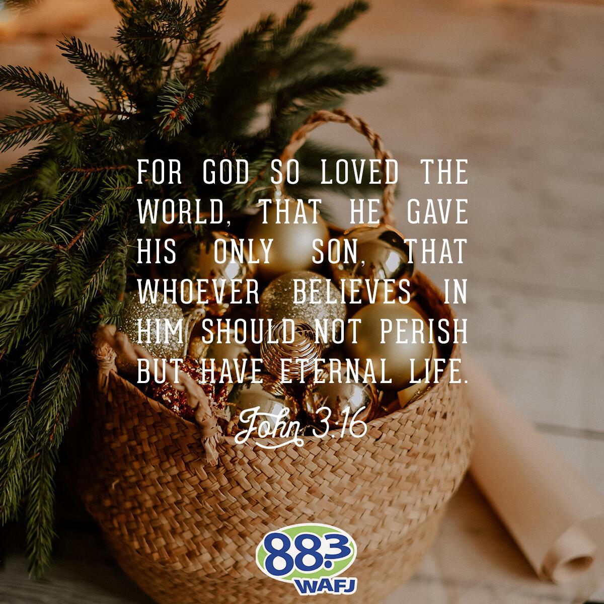 John 3:16 - Verse of the Day