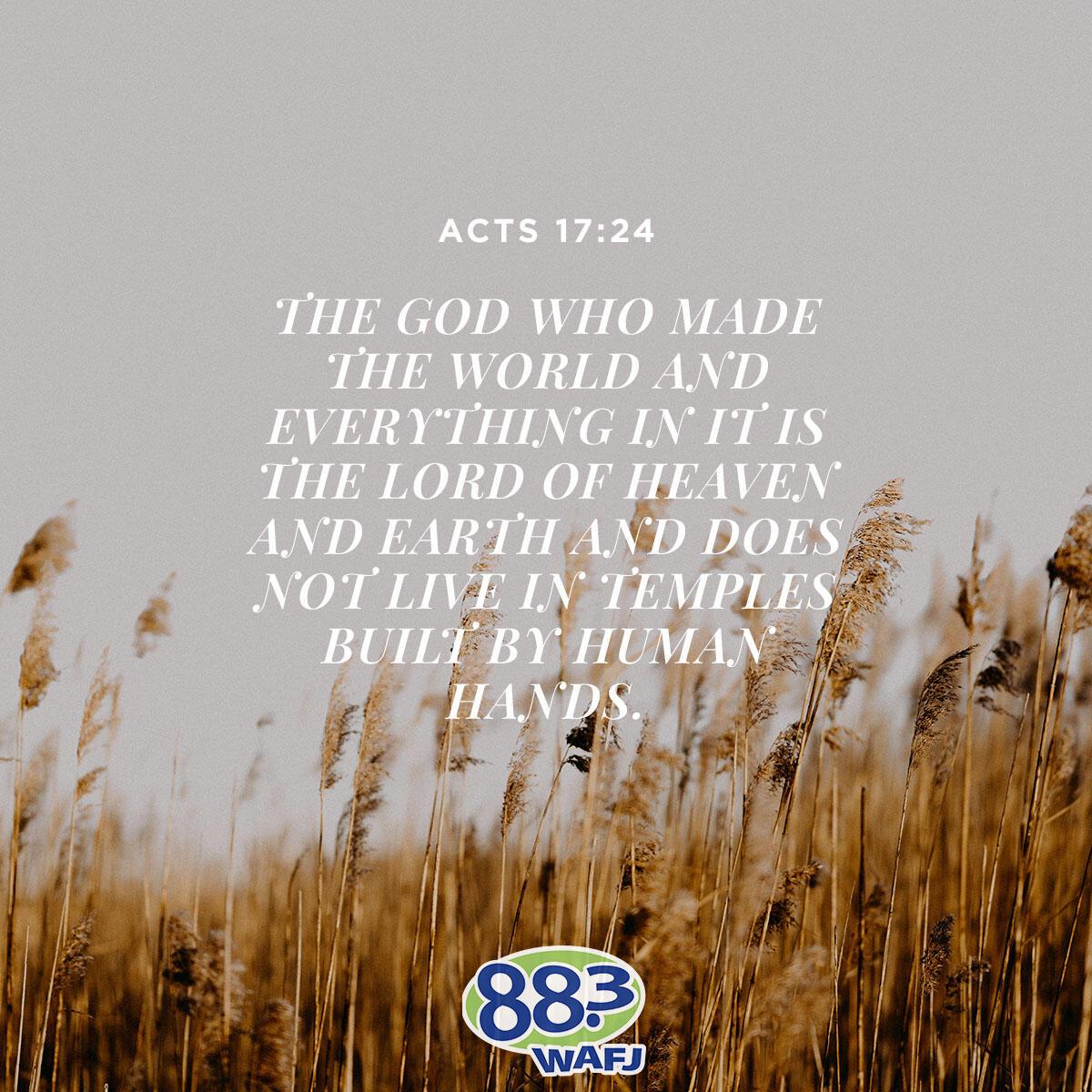 Acts 17:24 - Verse of the Day