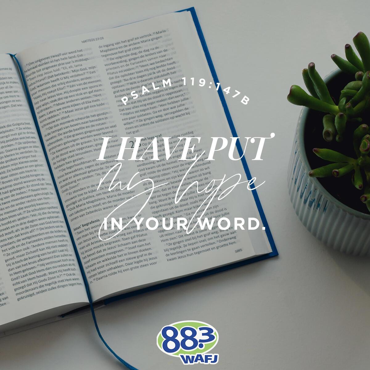 Psalm 119:147b - Verse of the Day