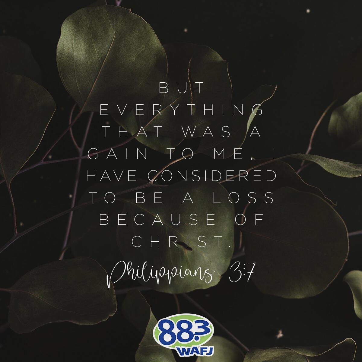 Philippians 3:7 - Verse of the Day