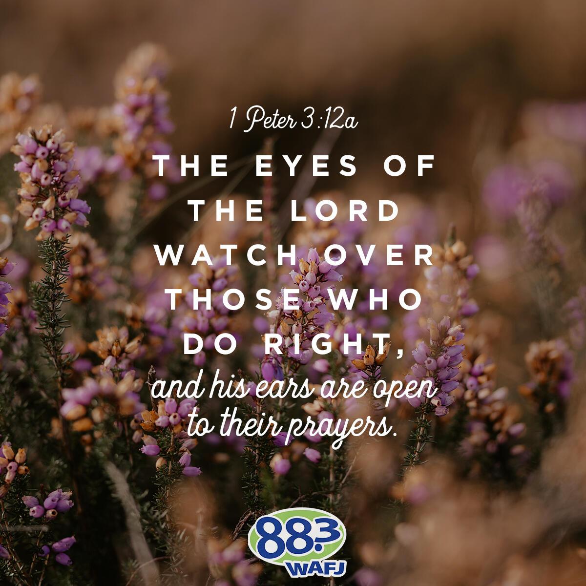 1 Peter 3:12a - Verse of the Day