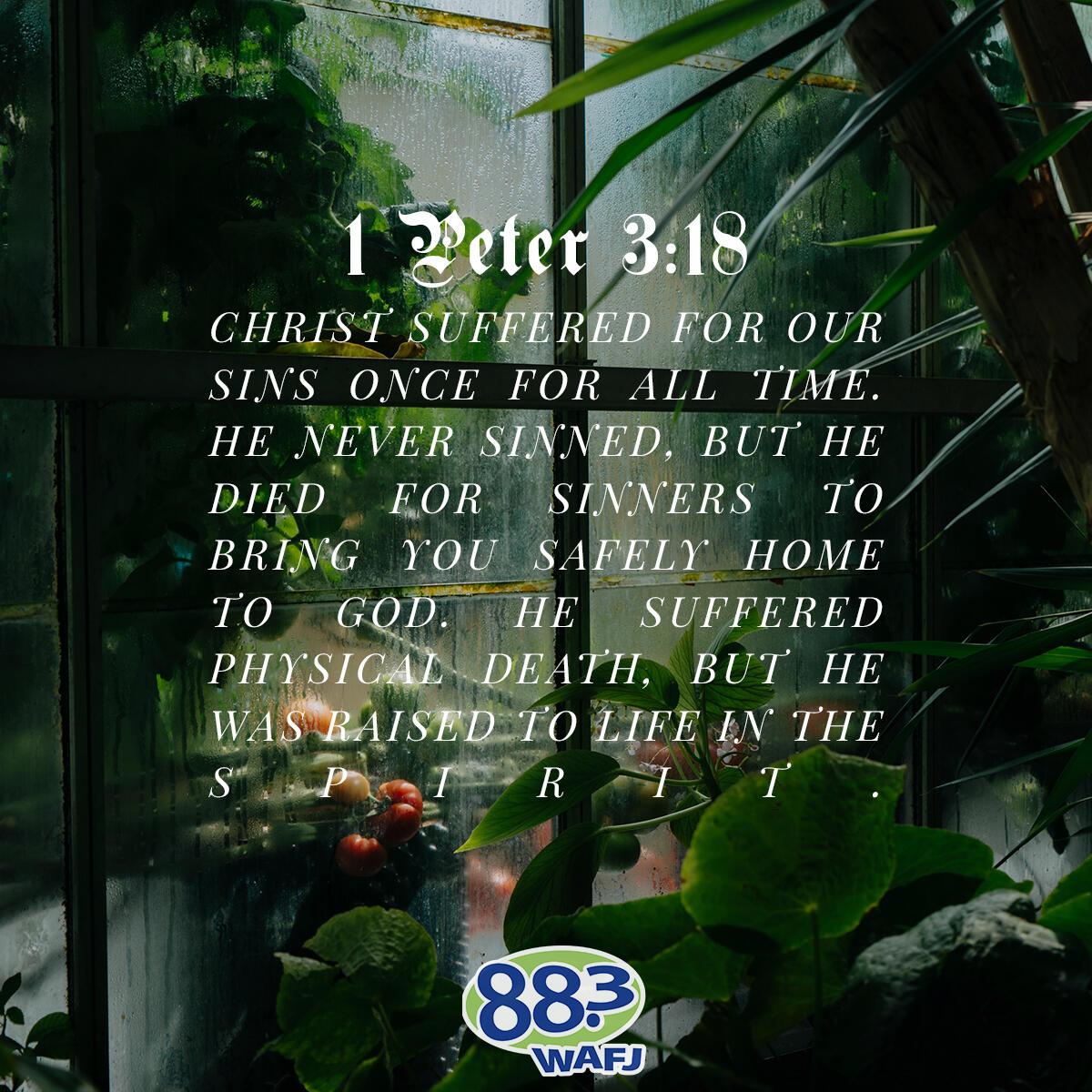 1 Peter 3:18 - Verse of the Day