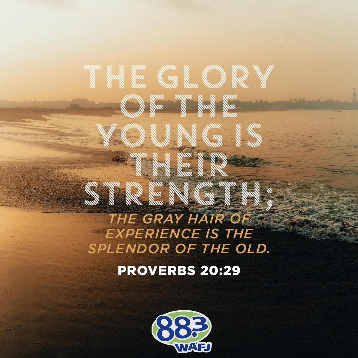 Proverbs 20:29 - Verse of the Day