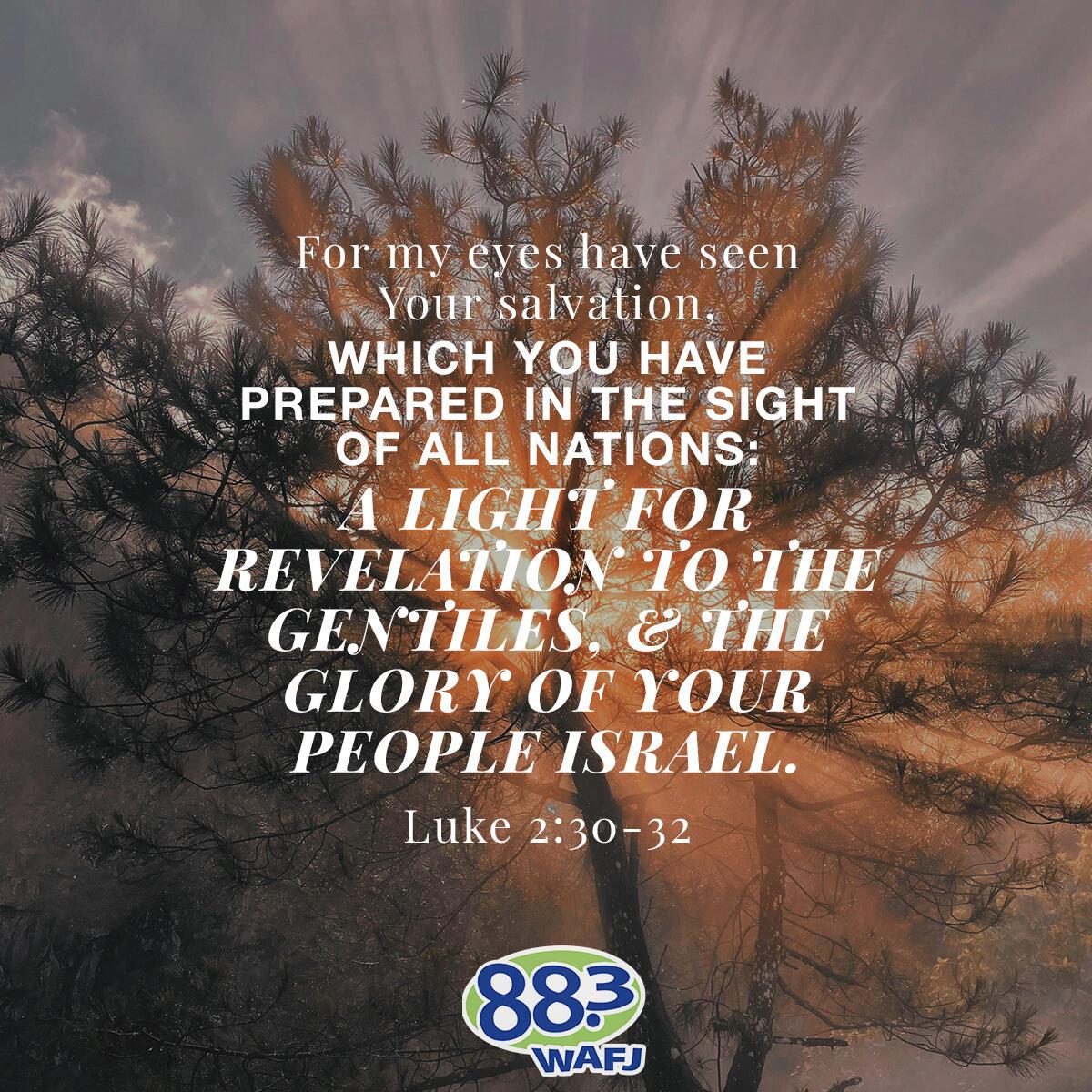 Luke 2:30-32 - Verse of the Day