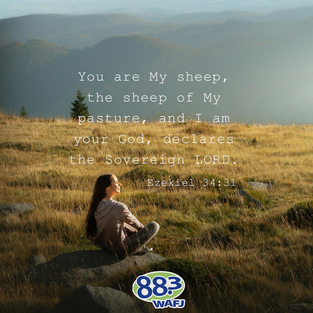 Ezekiel 34:31 - Verse of the Day