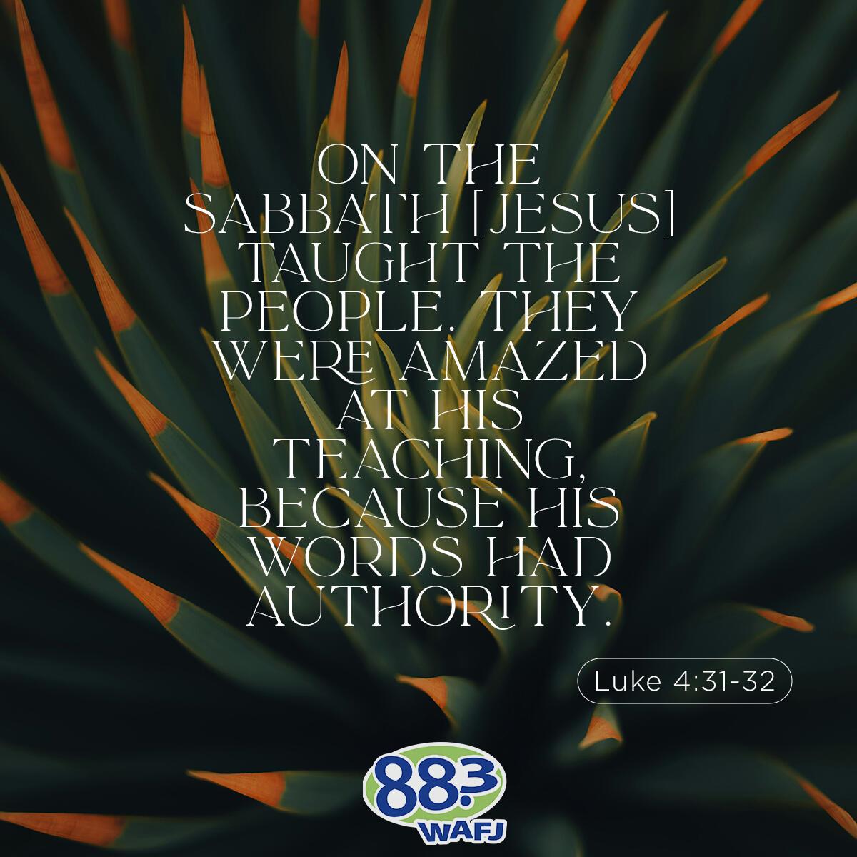 Luke 4:31-32 - Verse of the Day