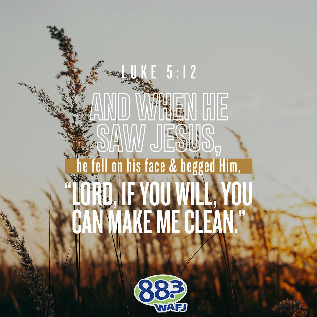 Luke 5:12 - Verse of the Day