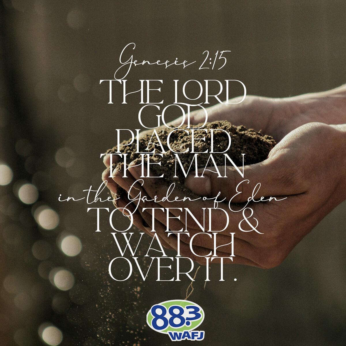 Genesis 2:15 - Verse of the Day