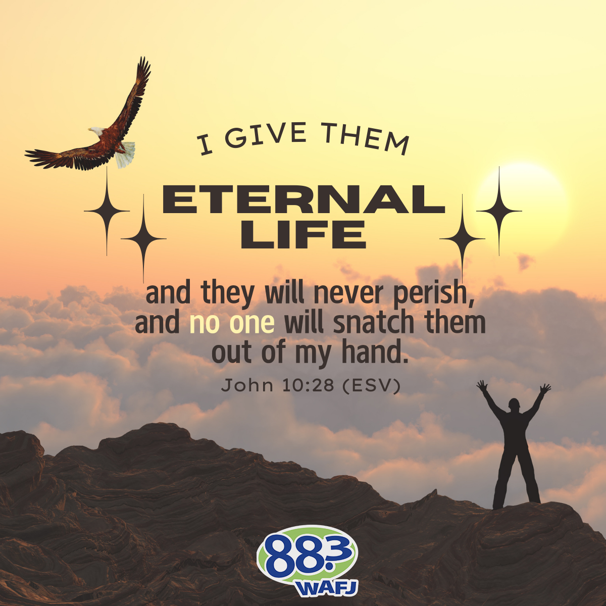 John 10:28 - Verse of the Day