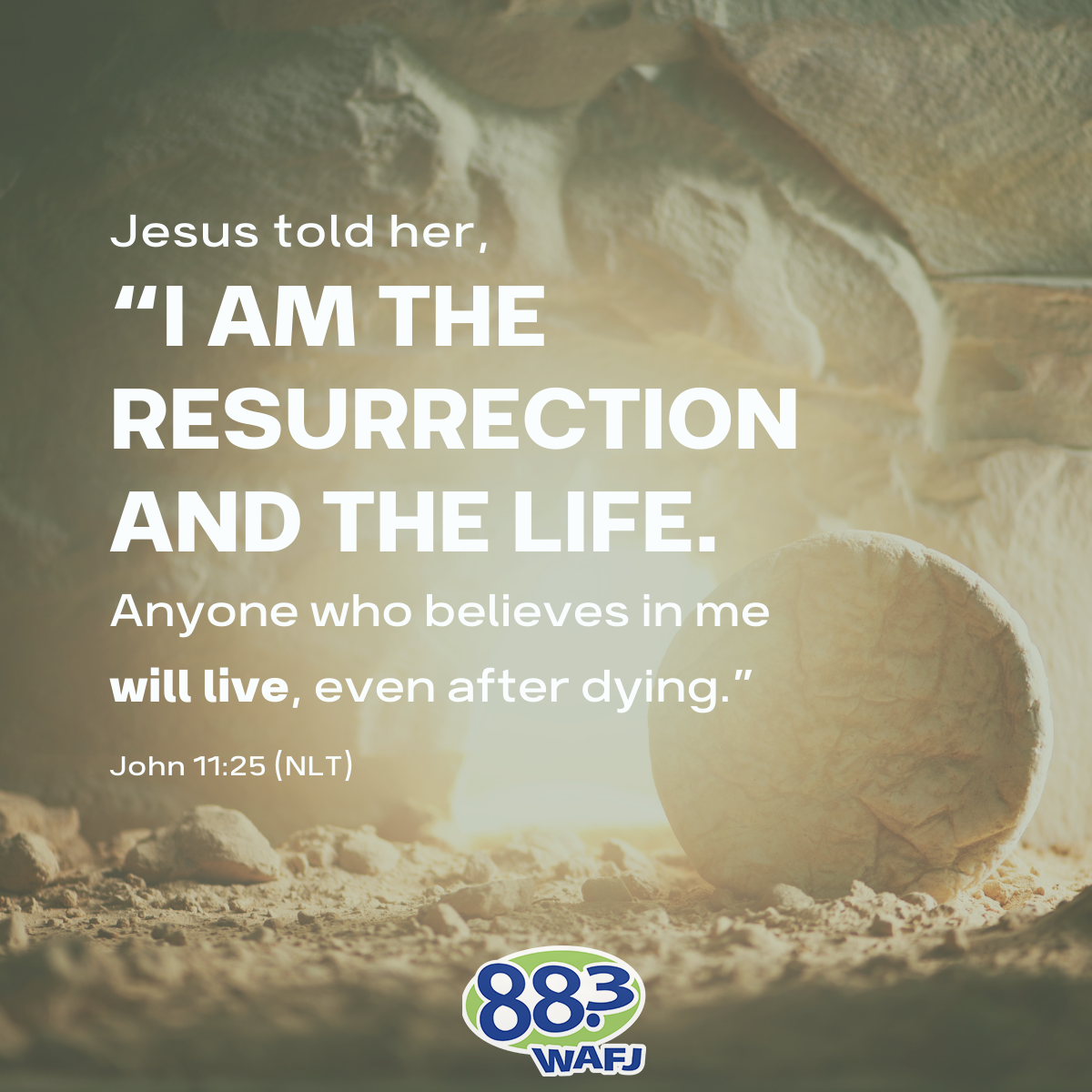 John 11:25 - Verse of the Day